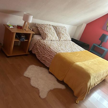 Chambre D Hote Maison Privee Kingersheim Exterior photo